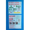 Decal - Mitsubishi Lancer Evo VII - Deutschland rallye 2003